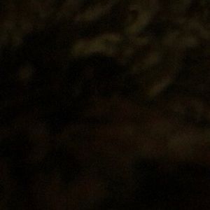 Meet your Posher, Adriana